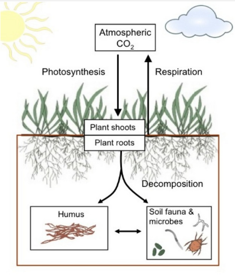 Carbon farming